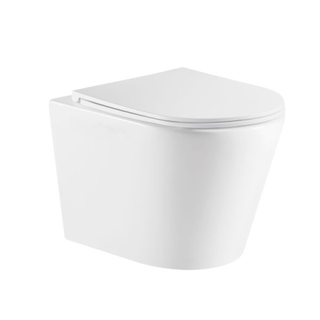 Zara66 Wall-Hung Pan (Rimless) With Thick Uf Seat Cover 