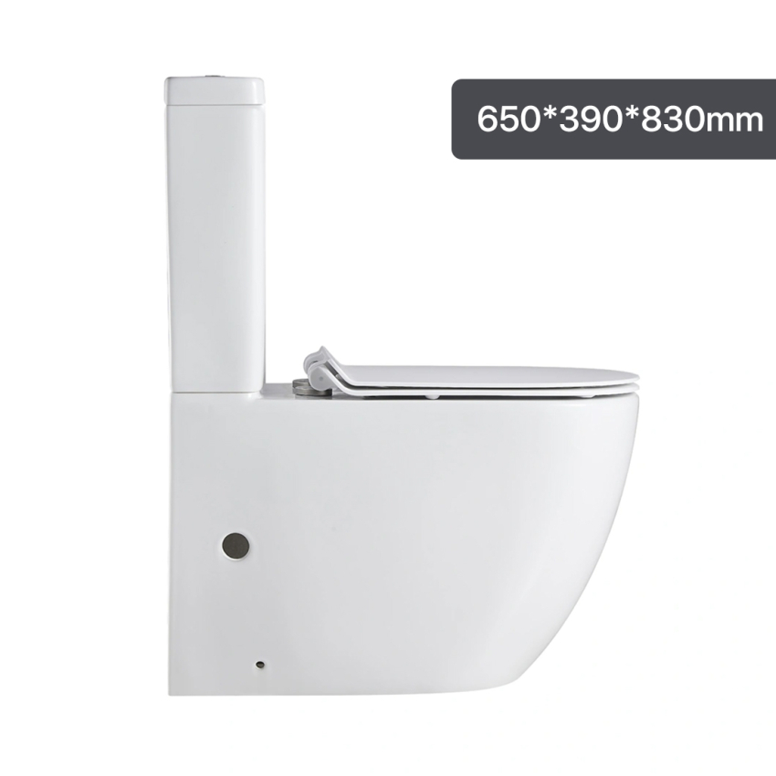 Two-Piece Rimless Flushing Toilet Suite Wall Faced Floor Mounted Toilet