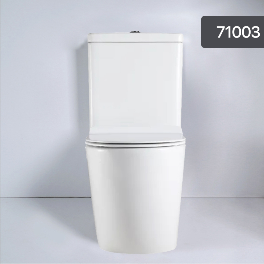 Two-Piece Rimless Flushing Toilet Suite Wall Faced Floor Mounted Toilet