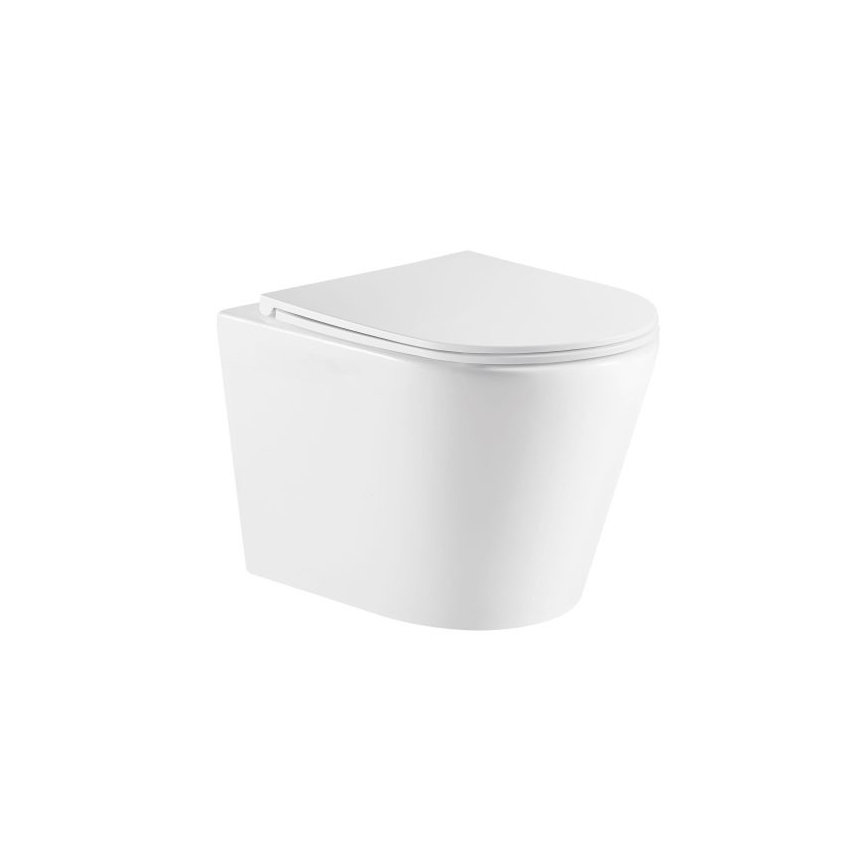 Zara66 Wall-Hung Pan (Rimless) With Thick Uf Seat Cover 
