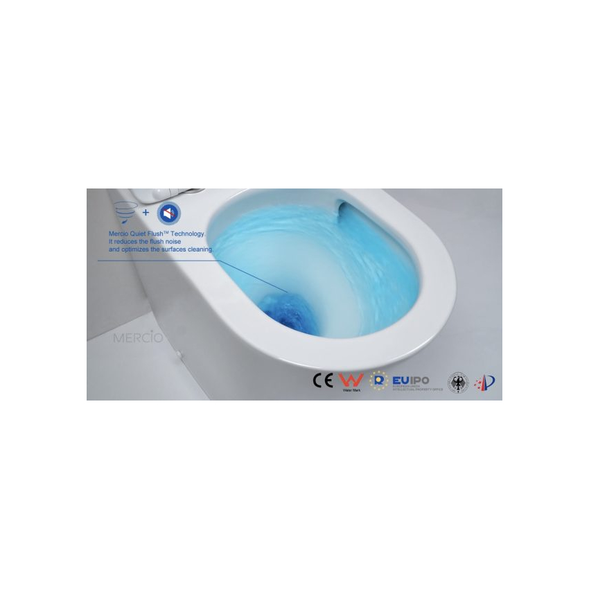 Norton99 Floor Mount Conceal System Toilet Floor Mount Conceal System Toilet 