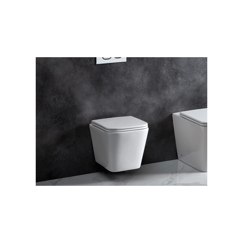 Enox66 Wall Hung Pan Rimless With Thick Uf Seat Cover 