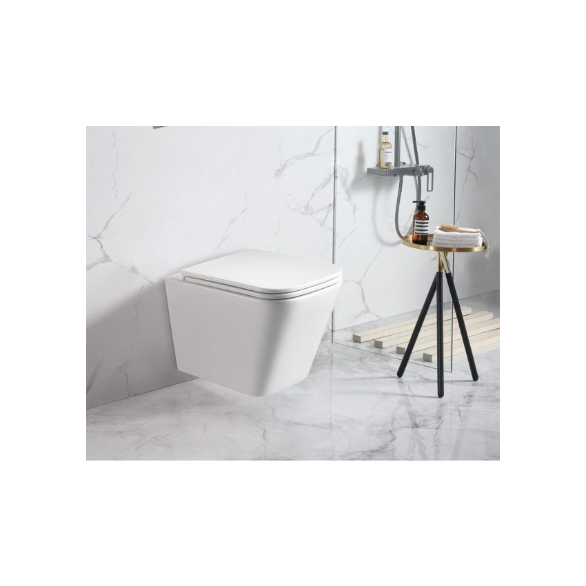 Enox66 Wall Hung Pan Rimless With Thick Uf Seat Cover 