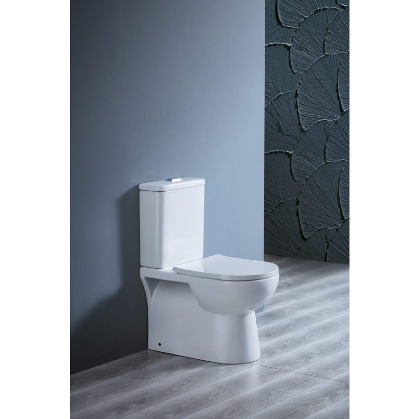 Moi Back To Wall Toilet Suite (Rimless) With Slim PP Seat Cover And Bottom Inlet Cistern T5B