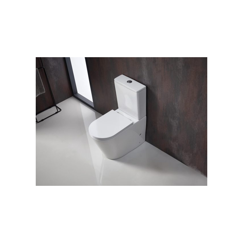 Berlin Matt White Back To Wall Toilet Suite Quiet Flushing Technology 