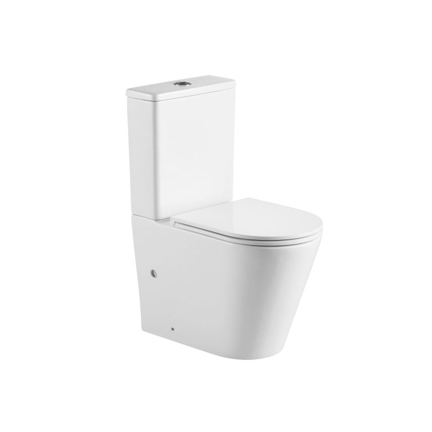 Pani Back To Wall Toilet Suite (Rimless) With Slim UF Seat Cover And  Universal Inlet Cistern T3