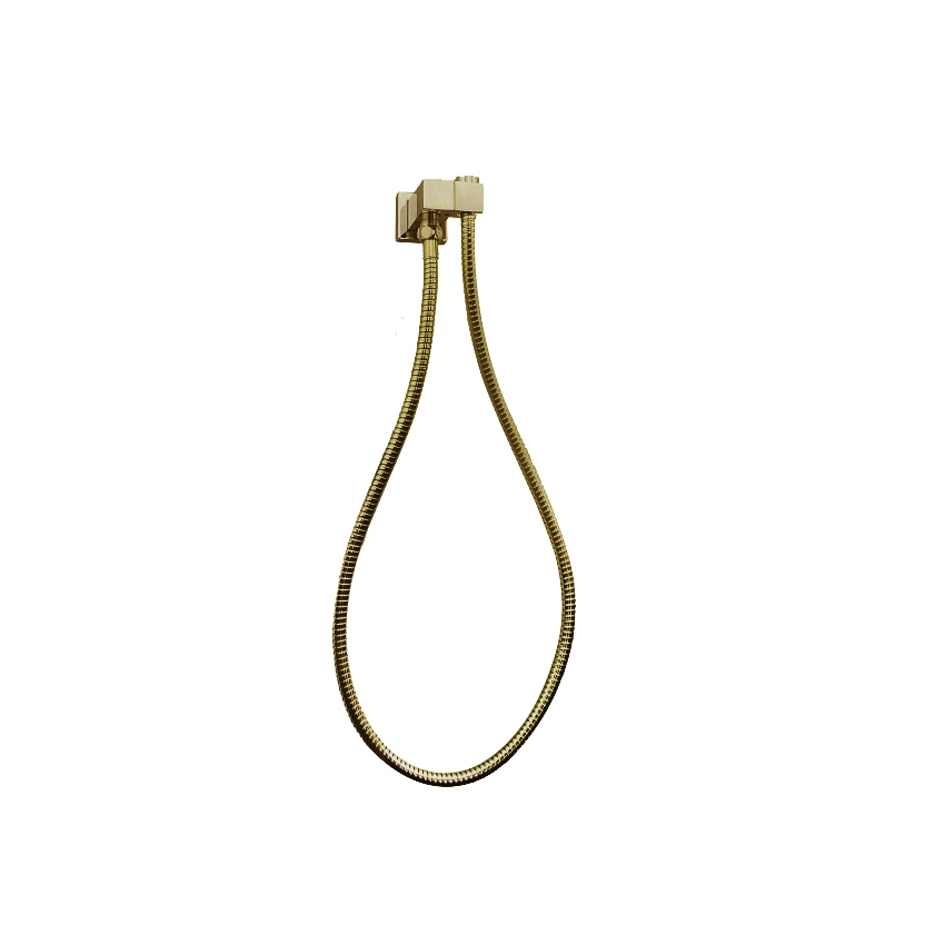 Esperia Brushed Yellow Gold Shower Holder & Connector
