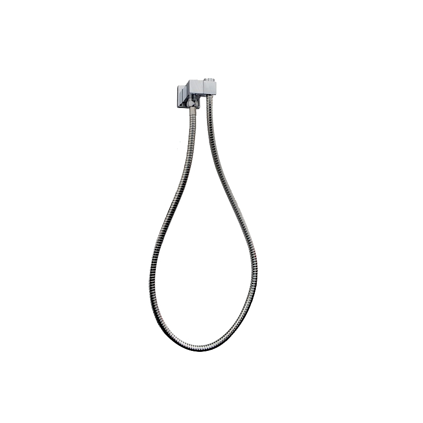 Esperia Brushed Nickel Shower Holder & Connector