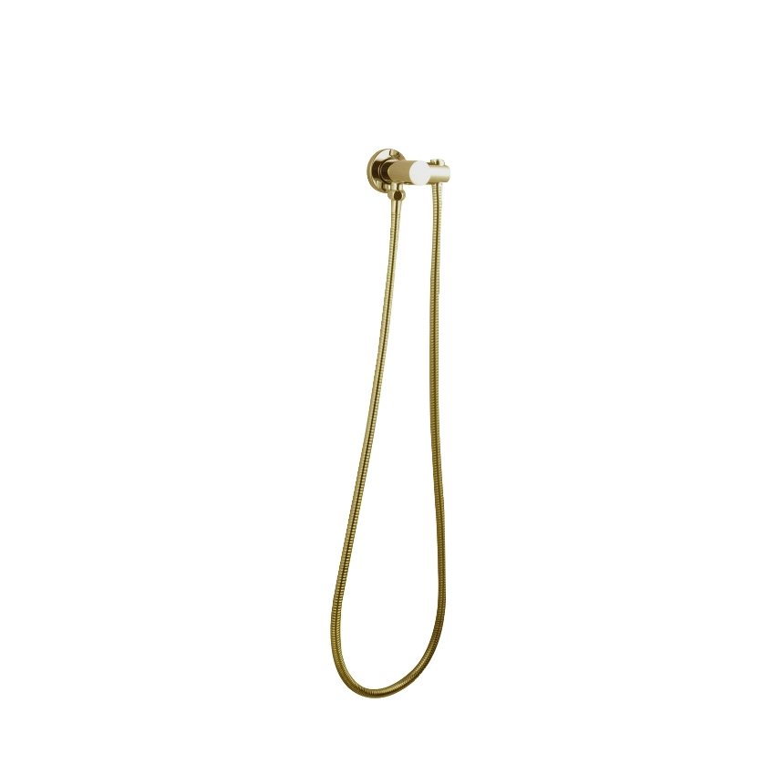 Pentro Brushed Yellow Gold Shower Holder & Connector