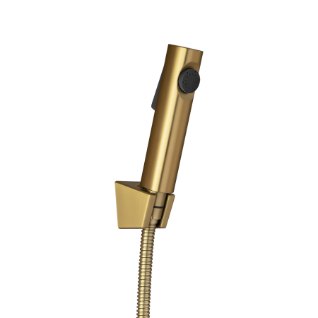 Round Brushed Yellow Gold ABS Toilet Bidet Spray Kit With Stainless Steel Hose