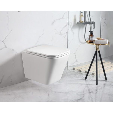 Enox66 Wall Hung Pan Rimless With Thick Uf Seat Cover 