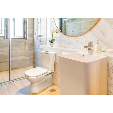 Moi Back To Wall Toilet Suite (Rimless) With Slim PP Seat Cover And Bottom Inlet Cistern T5B