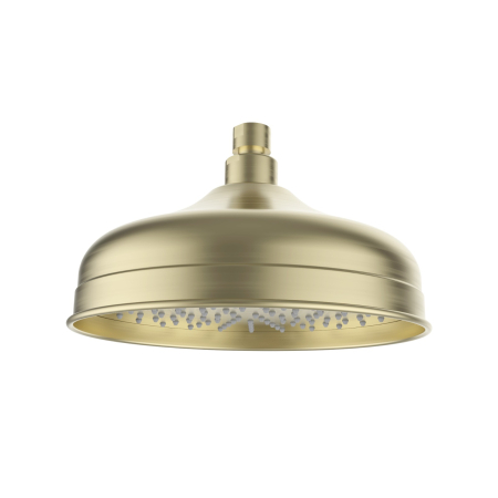 Clasico Shower Head In Brushed Gold