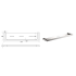 Flores Cosmetic Shelf Brushed Nickel