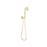 Clasico Handshower On Wall Outlet Bracket in Brushed Gold