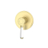 Clasico Wall Mixer Trim Kits Ceramic handle in Brushed Gold