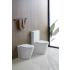 Berlin Back To Wall Toilet Suite Quiet Flushing Technology