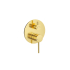 Otus Slimline SS Wall Diverter Mixer Trim Kits in Brushed Gold