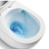 Berlin Back To Wall Toilet Suite Quiet Flushing Technology