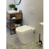Berlin99: Floor-Mount Conceal System Toilet. : Floor-Mount Conceal System Toilet Quiet Flushing Technology